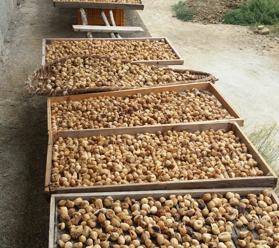 Profumi e gusto. Cucina del Cilento