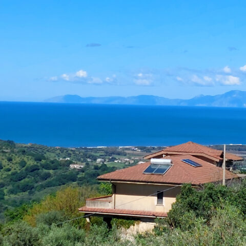 Panorama