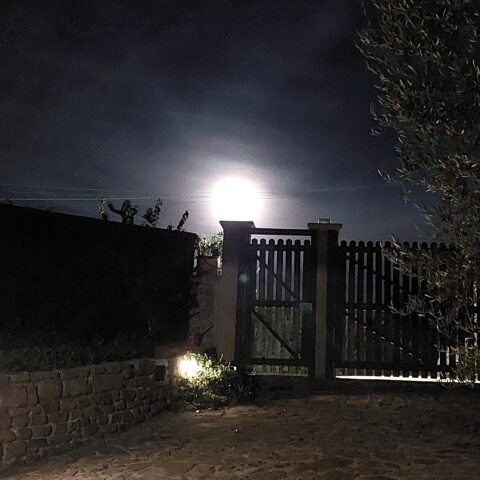 Luna